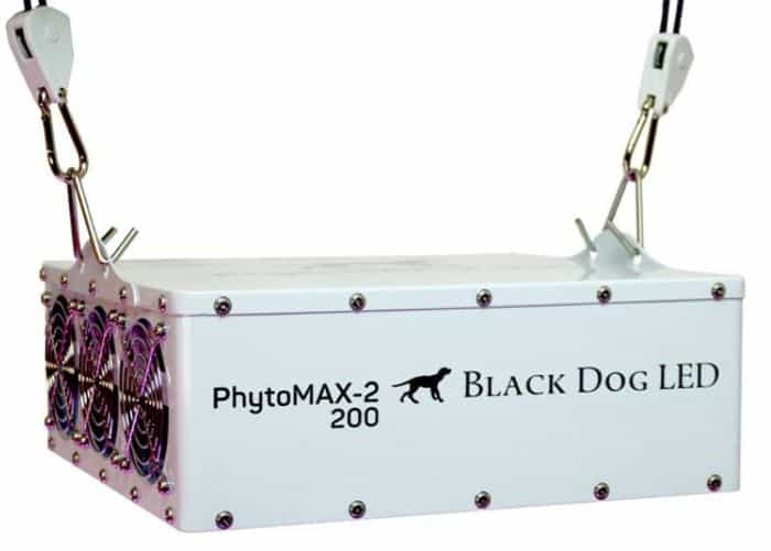 BLACK DOG LED PhytoMAX2 NEW FOR 2018 ESTAGECRAFT